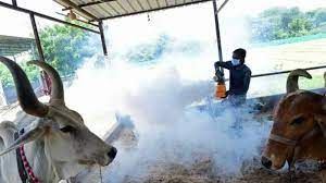 सात राज्यों एवं एक केंद्रशासित प्रदेश में लंपी त्वचा रोग से अबतक 7300 से अधिक मवेशियों की मौत