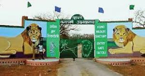 चीता पुनरुप्तादन योजना: मप्र के कुनो राष्ट्रीय उद्यान में बनेंगे हेलीपैड चीता पुनरुप्तादन योजना: मप्र के कुनो राष्ट्रीय उद्यान में बनेंगे हेलीपैड