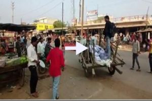 नौ हजार पन्नों की सूचना लेने बैलगाड़ी से परिषद के दफ्तर पहुंचे आरटीआई कार्यकर्ता नौ हजार पन्नों की सूचना लेने बैलगाड़ी से परिषद के दफ्तर पहुंचे आरटीआई कार्यकर्ता