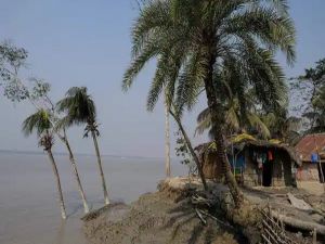 ओडिशा में रहस्यमयी आवाज सुनायी दी; मौसम विभाग ने कहा-किसी भूकंप की सूचना नहीं