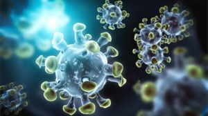 भारत में कोरोना वायरस संक्रमण के 226 नए मामले सामने आए