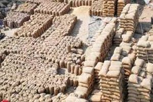 सरकार की धान खरीद अब तक 10 प्रतिशत बढ़कर 541.90 लाख टन पर