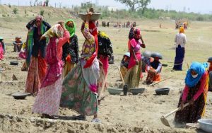 निर्माण क्षेत्र में पुरुषों की तुलना में महिला श्रमिकों को मिलती है 30-40 प्रतिशत कम मजदूरी: रिपोर्ट