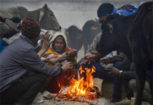 उत्तर भारत में अगले चार दिनों तक शीत लहर से राहत, घना कोहरा रहेगा बरकरार