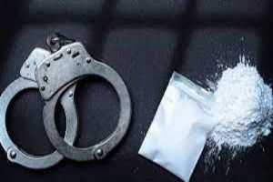 1.31 करोड़ रुपये की हेरोइन जब्त, दो गिरफ्तार