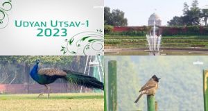 राष्ट्रपति भवन में उद्यान का नाम अमृत उद्यान किया गया, यह आम जनता के लिए मंगलवार से खुलेगा