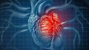 फौजी के सीने में धड़केगा मप्र के कारोबारी का दिल, सेना के विशेष विमान से पुणे भेजा गया हृदय