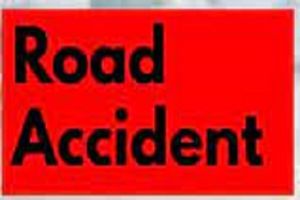 अज्ञात वाहन की चपेट में आकर पिता-पुत्र की मौत