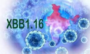 देश के 76 नमूनों में कोरोना वायरस का नया प्रकार एक्सबीबी1.16 पाया गया : आईएनएसएसीओजी का आंकड़ा