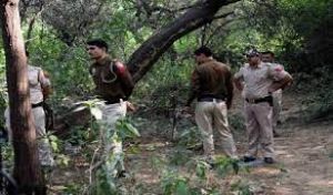 पतंग का 15 किलोमीटर तक पीछा करने के बाद दो लड़के जंगल में भटके पतंग का 15 किलोमीटर तक पीछा करने के बाद दो लड़के जंगल में भटके