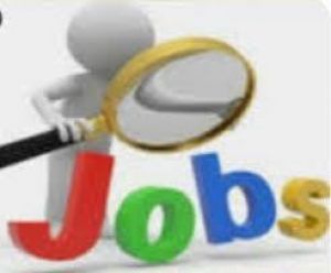 शासकीय आई.टी.आई सड्डू में 15 जनवरी को प्लेसमेंट कैम्प