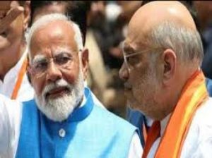  गुजरातः भाजपा ने 14 सीटें जीतीं, अमित शाह गांधीनगर सीट पर विजयी