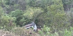 जम्मू संभाग  में संदिग्ध आतंकवादियों की गोलीबारी के बीच तीर्थयात्रियों को ले जा रही एक बस गहरी खाई में गिर गई