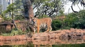 दिल्ली चिड़ियाघर की वेबसाइट पर अग्रिम बुकिंग की सुविधा शुरू की जाएगी