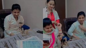 सरकारी महिला अस्पताल में बंदर से खेलती नर्सों का वीडियो वायरल, छह नर्सें निलंबित सरकारी महिला अस्पताल में बंदर से खेलती नर्सों का वीडियो वायरल, छह नर्सें निलंबित