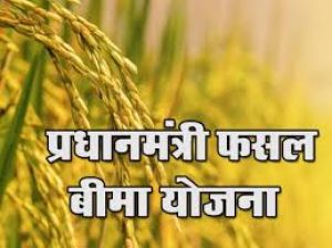 फसल बीमा में 32,440 करोड़ रुपये का प्रीमियम प्राप्त, 1.64 लाख करोड़ रुपये के दावों का भुगतान