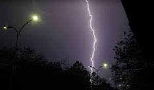 पांच वर्षों में आकाशीय बिजली गिरने से 1,625 लोगों की मौत हुई: मंत्री