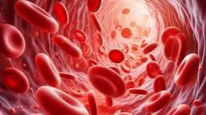 एनीमिया के ज्यादातर मामले आयरन की कमी के अलावा अन्य कारणों से : अध्ययन एनीमिया के ज्यादातर मामले आयरन की कमी के अलावा अन्य कारणों से : अध्ययन