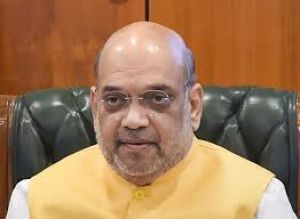 महायुति को शानदार जीत दिलाकर जनता ने असली शिवसेना, राकांपा को लेकर स्पष्ट फैसला दिया :  शाह