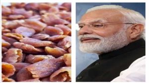 मन की बात: पीएम मोदी ने फूलों की अनोखी यात्रा का किया जिक्र, महुआ से कुकीज तक की सुनाई कहानी मन की बात: पीएम मोदी ने फूलों की अनोखी यात्रा का किया जिक्र, महुआ से कुकीज तक की सुनाई कहानी