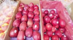 तुर्की के खिलाफ सेब उत्पादक संगठन, पीएम को पत्र लिखकर आयात पर प्रतिबंध लगाने की मांग रखी