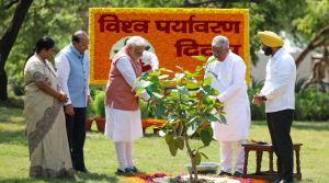 ‘एक पेड़ मां के नाम’: पीएम मोदी बोले, ‘अरावली में हरियाली बढ़ाने को संकल्पित सरकार’ ‘एक पेड़ मां के नाम’: पीएम मोदी बोले, ‘अरावली में हरियाली बढ़ाने को संकल्पित सरकार’