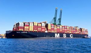 फुटबॉल मैदान से चार गुना बड़ा जहाज पहुंचा विझिंजम पोर्ट फुटबॉल मैदान से चार गुना बड़ा जहाज पहुंचा विझिंजम पोर्ट