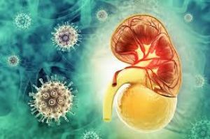  किडनी की बीमारी से ग्रसित मरीजों के लिए फायदेमंद साबित हुई कोविड वैक्सीन: रिसर्च