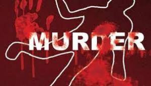 घरेलू कलह में व्यक्ति ने पत्नी और दो बेटियों की हत्या की...!