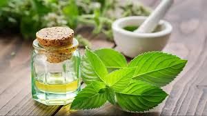 अमेरिकी शुल्क के कारण मेंथा उद्योग संकट में