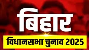 बिहार विधानसभा चुनाव की प्रक्रिया में देखने को मिलेंगे 17 बदलाव, बाद में देशभर में लागू होंगी ये पहल बिहार विधानसभा चुनाव की प्रक्रिया में देखने को मिलेंगे 17 बदलाव, बाद में देशभर में लागू होंगी ये पहल