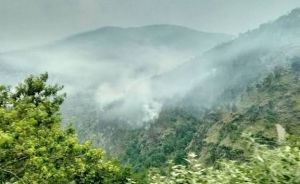 भारत सबसे बड़े वन कार्बन सिंक वाले शीर्ष 10 देशों में शामिल: एफएओ रिपोर्ट