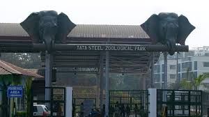 'जीवाणु संक्रमण' से 10 काले हिरणों की मौत