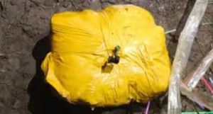 ड्रोन से गिराई गई 12 किलोग्राम हेरोइन बरामद ड्रोन से गिराई गई 12 किलोग्राम हेरोइन बरामद