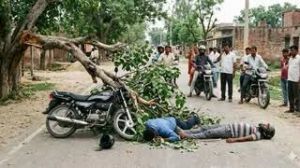 पेड़ की डाल गिरने से मोटरसाइकिल सवार दो युवकों की मौत