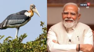 मन की बात में &lsquo;हरगिला पक्षी&rsquo; का जिक्र, पीएम मोदी बोले- जिसे कभी अशुभ माना गया, वही आज गांवों की पहचान बना
