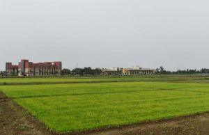 विलंबित मानसून: धान किसानों के लिए भारतीय कृषि अनुसंधान परिषद&ndash;राष्ट्रीय जैविक स्ट्रेस प्रबंधन संस्थान की वैज्ञानिक सलाह जारी