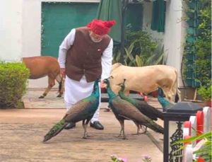 पीएम मोदी ने इंस्टाग्राम पर एक नए वीडियो में अपने दोस्तों के साथ बिताए पलों को साझा किया, बोले- &lsquo;ये मेरी दैनिक दिनचर्या&rsquo;
