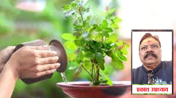 तुलसी विवाह के दिन इन नियमों का करें पालन, शादी में नहीं आएंगी बाधाएं! तुलसी विवाह के दिन इन नियमों का करें पालन, शादी में नहीं आएंगी बाधाएं!