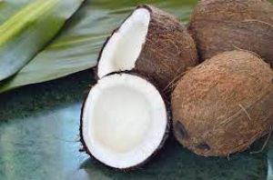  पूजा में इस्तेमाल होने वाला नारियल देता है अनेक फायदे!, हो जाएंगे हैरान