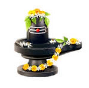 भगवान शिव को प्रिय है यह व्रत, स्मरण करने मात्र से प्रसन्न हो जाते हैं भोले भंडारी