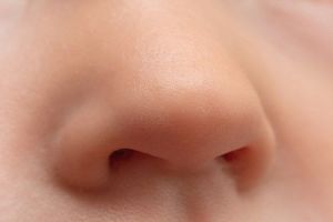 आपके नाक का आकार क्या बताता है आपकी पर्सनालिटी के बारे में? जानिए स्वभाव और लक्षण