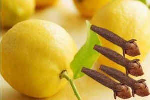  बनते काम बिगड़ रहे हैं तो तुरंत करें लाल किताब के ये 5 आसान उपाय