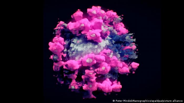 इलेक्ट्रान माइक्रोस्कोप में ऐसा दिखता है कोरोना वायरस