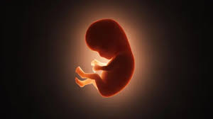 भारतीय वैज्ञानिकों ने गर्भ के अंदर 'जेनेटिक स्विच' का पता लगाया, गर्भावस्था में हो सकता मददगार भारतीय वैज्ञानिकों ने गर्भ के अंदर 'जेनेटिक स्विच' का पता लगाया, गर्भावस्था में हो सकता मददगार