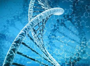 ब्रिटेन में वैज्ञानिकों ने कोशिका के अंदर डीएनए की गतिविधियों को दर्शाने वाली तकनीक विकसित की