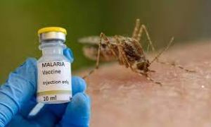   क्या है दुनिया की पहली मलेरिया वैक्सीन... कितनी होगी प्रभावशाली  