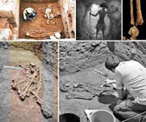  31 हजार साल पहले भी हाथ-पांव काट कर जान बचाई जाती थी