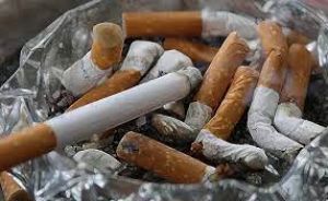 पौधा आधारित यौगिक साइटिसिन धूम्रपान छोड़ने का किफायती उपाय साबित हो सकता है : अध्ययन