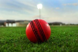 बीसीसीआई ने मंगवाई 72 गुलाबी गेंदें